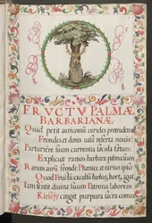 Página inteira: texto com medalhão figurativo e moldura decorativa
