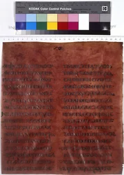 Página de texto completo