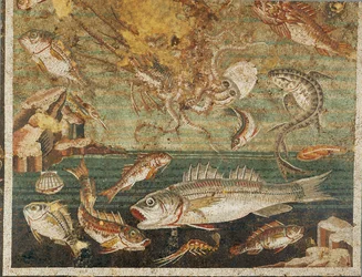 Fauna marinha, peixes, Casa do Fauno, Pompeia