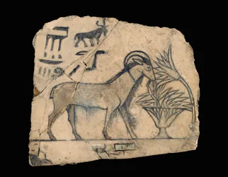 Ostracon com desenho de um carneiro ...