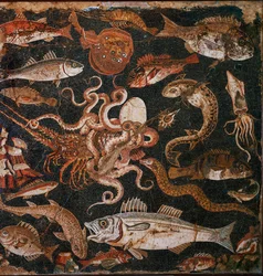 Fauna submarina. Mosaico de Pompeia, Itália