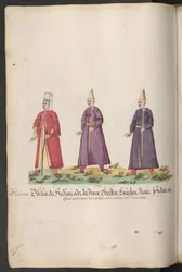 O serviço da sultana: eunucos