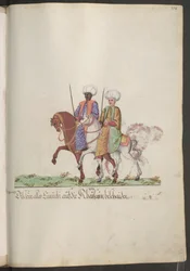 O serail da sultana: eunucos a cavalo ...