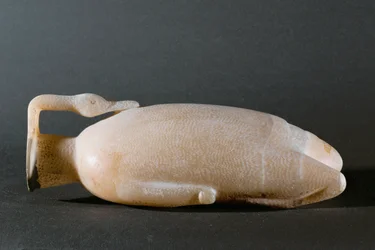 Garrafa de água com a forma de um pato em forma de trança ...