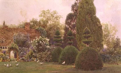 Galinhas em um jardim