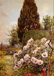 Peonies, Coddington, perto de Ledbury (lápis e aguarela sobre papel)