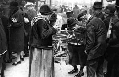 Um grupo de compradores de canários, Paris, 1931.