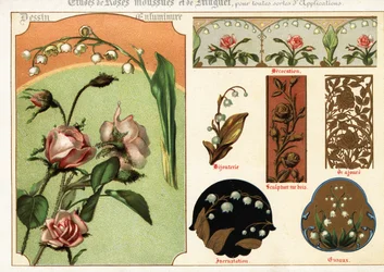 Imagens de rosa musgo e lírio do vale a partir de manuscritos e