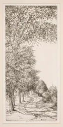 Estrada rural