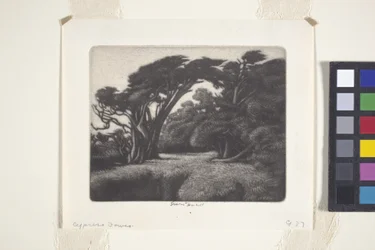 Cortador de relva Cypress Bower (mezzotint)