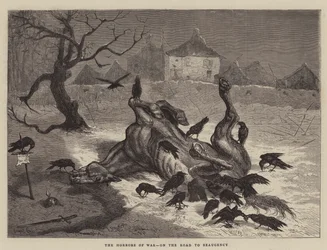 Os horrores da guerra, no caminho para Beaugency