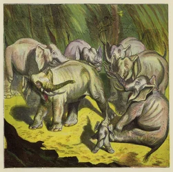 O elefante que perdeu a cauda