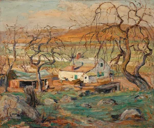Paisagem com árvores retorcidas