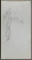Sketchbook, página 07: Estudo de um cavalo