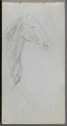 Caderno de desenho, página 07: Estudo de um cavalo.