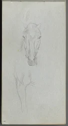 Sketchbook, página 09: Estudo de um cavalo