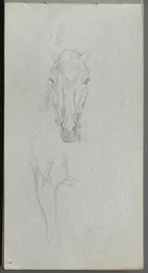 Caderno de desenho, página 09: Estudo de um cavalo.