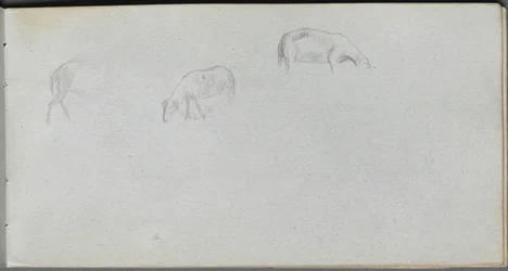 Sketchbook, página 20: Estudo de animais