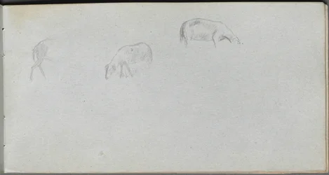Caderno de desenho, página 20: Estudo com animais.