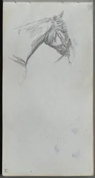 Sketchbook, página 21: Estudo de um cavalo