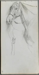Caderno de desenho, página 55: Estudo para um cavalo.