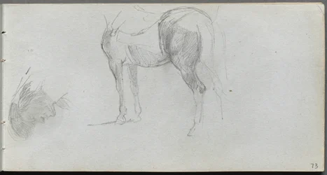 Caderno de desenho, página 73: Estudo de um cavalo, perfil.