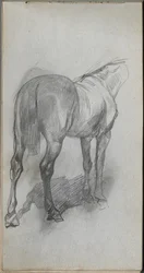 Sketchbook, página 76: Estudo de um cavalo