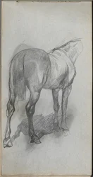Caderno de desenho, página 76: Estudo de um cavalo.