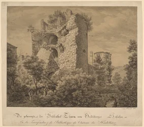 A Torre Explodida e a Biblioteca do Castelo de Heidelberg