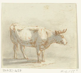 Bull standing, virado para a direita