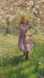Escolhendo Apple Blossom, 1901