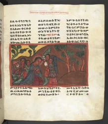 Ou. 607 f051r, Cena da vida da Virgem Maria, de 