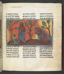 Ou. 607 f174r, Cena da vida da Virgem Maria, de 