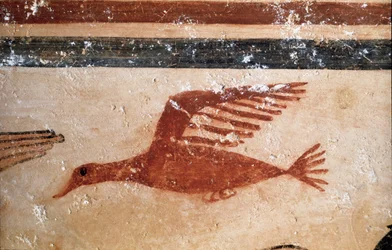 Um pássaro. (Detalhe do fresco, 530 a.C.)