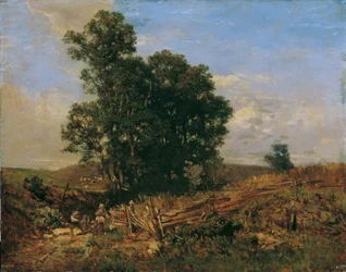 Grupo de árvores ao longo do caminho do campo