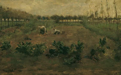 Fieldwork