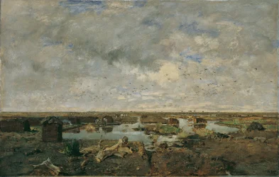 Grande paisagem de charneca