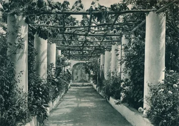 Pérgola em um vinhedo, Capri, Itália, 1927