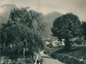 Caminho para o Castelo de Tirol, Merano, Tirol do Sul, Itália, 1927