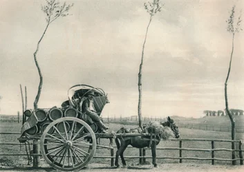 Portador de vinho em Campagna, Roma, Itália, 1927