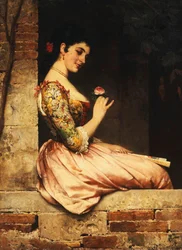 A rosa cor-de-rosa