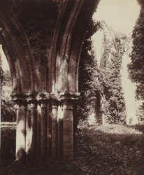 Dammarie-les-Lys, ruínas, 1910 (foto)