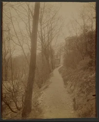 Père Lachaise, caminho das cabras
