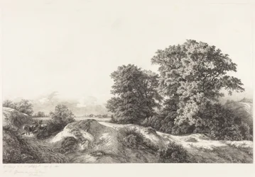 Carvalhos nos Vaux de Cernay