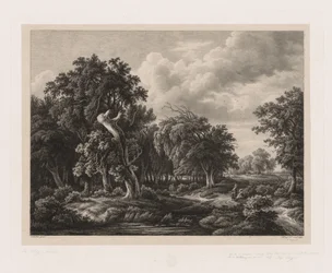 Grupos de várias plantas desenhadas após a natureza: nº 7, 1855.