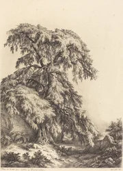 Junípero, 1840.