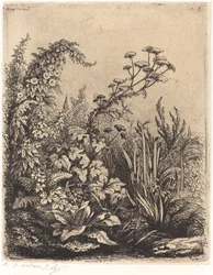 La petite berle aux liserons (pequena pastinaga com trepadeira)