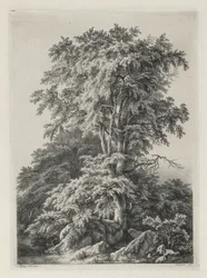 Estudos desenhados e gravados após a natureza: The Beach, Fontainbleau ..., 1840.