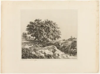 O Bouquet of Trees, ou The Lindens (Lembrança do Sarthe)