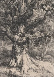 O Carlos Magno, Carvalho com Ninho de Águia, 1845.